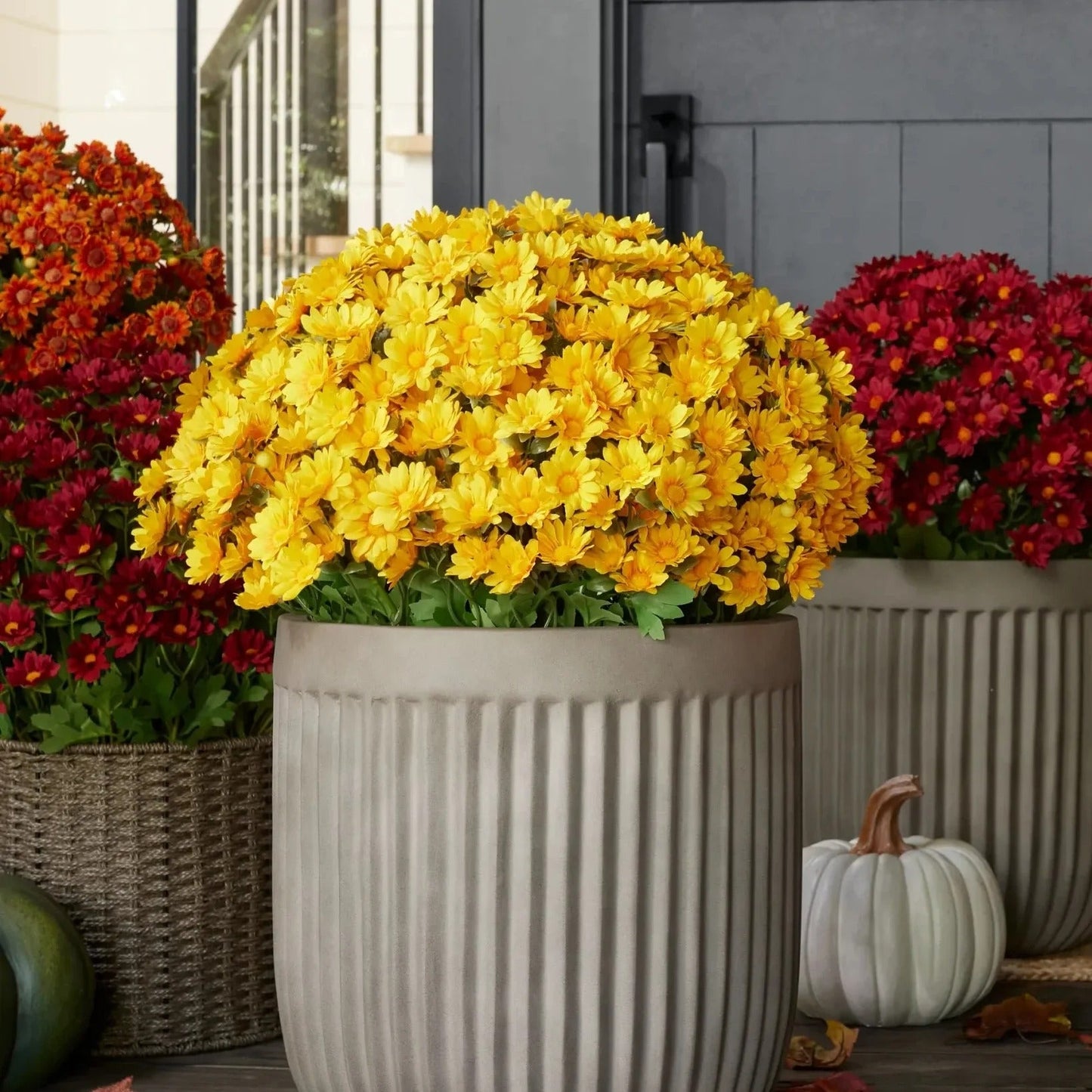 💐Lifelike UV-Resistant Sunset Mums – Waterproof, Windproof & Perfect for Fall Decor 🍂
