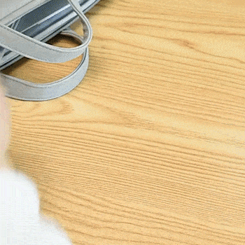 Portable Laptop Stand