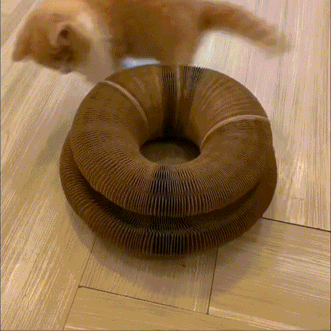 Magic Organ Cat Scratching Board--Comes with a toy bell ball