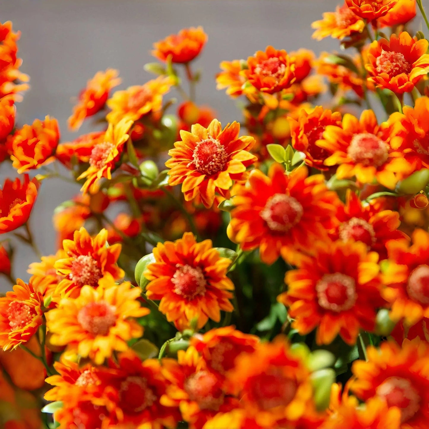 💐Lifelike UV-Resistant Sunset Mums – Waterproof, Windproof & Perfect for Fall Decor 🍂