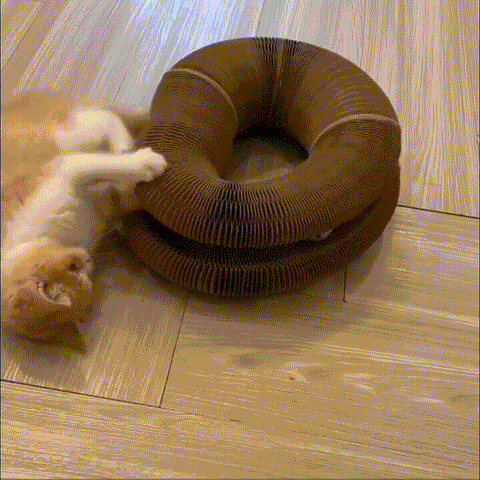 Magic Organ Cat Scratching Board--Comes with a toy bell ball