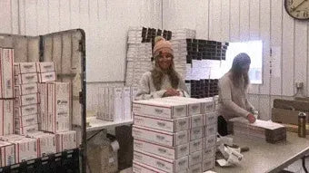 Green vines sun dazzling glass sticker