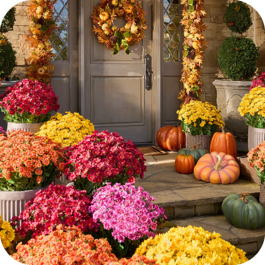 💐Lifelike UV-Resistant Sunset Mums – Waterproof, Windproof & Perfect for Fall Decor 🍂